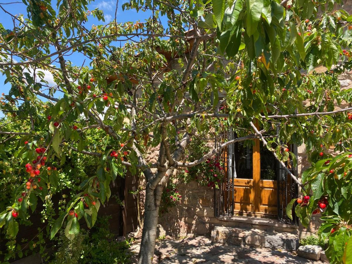 Villa Era De Trespui En Pirineos à Peramea Extérieur photo